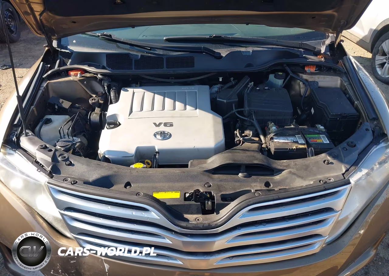 2009 Toyota Venza Base V6 VIN:4T3BK11A09U010598 - 10