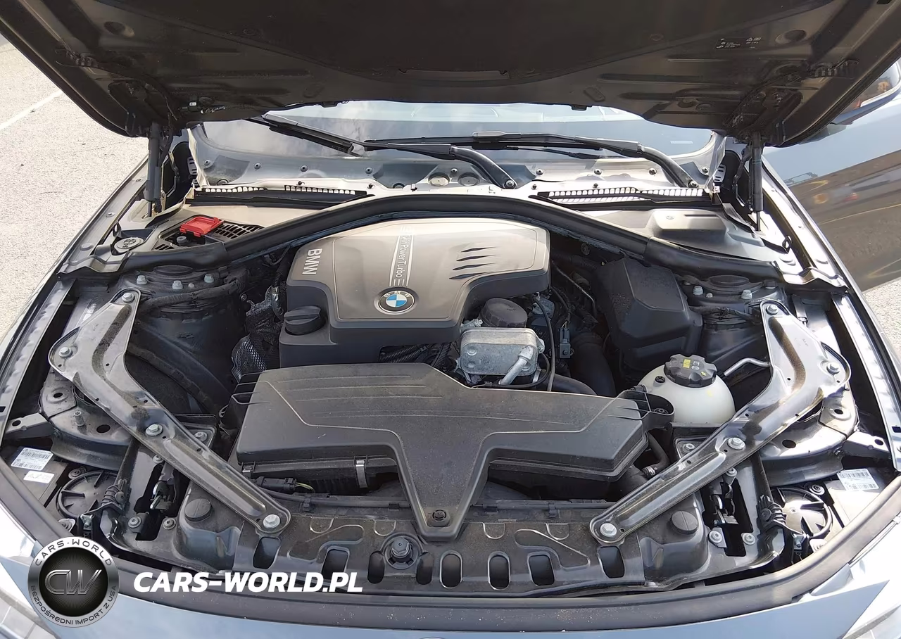 2016 BMW 428I xDrive VIN:WBA3T1C52GP822993 - 10