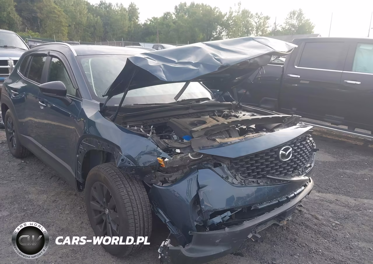 2024 Mazda Cx-50 2.5 S Preferred VIN:7MMVABBM9RN173031 - 19