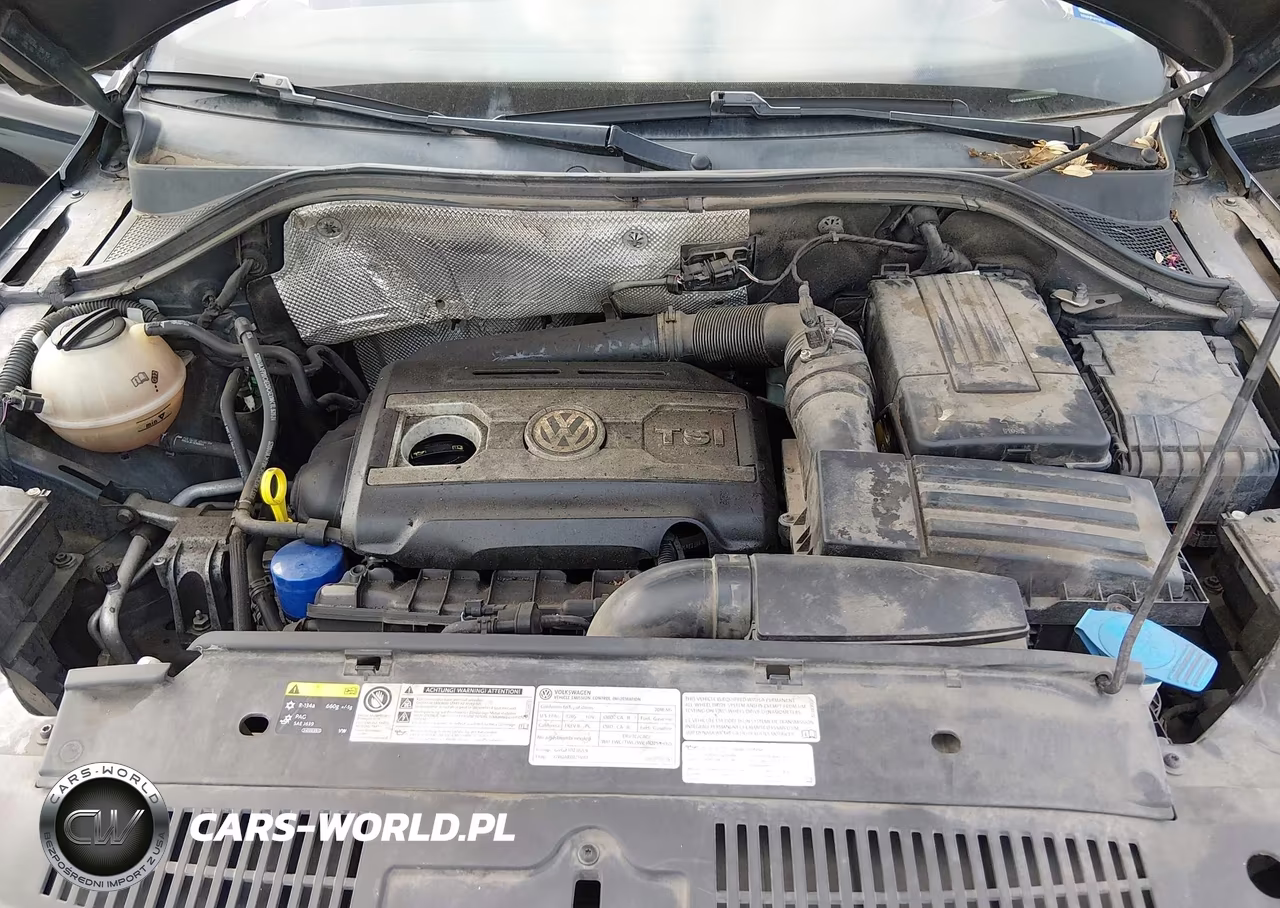 2016 Volkswagen Tiguan Se VIN:WVGBV7AX7GW554489 - 10