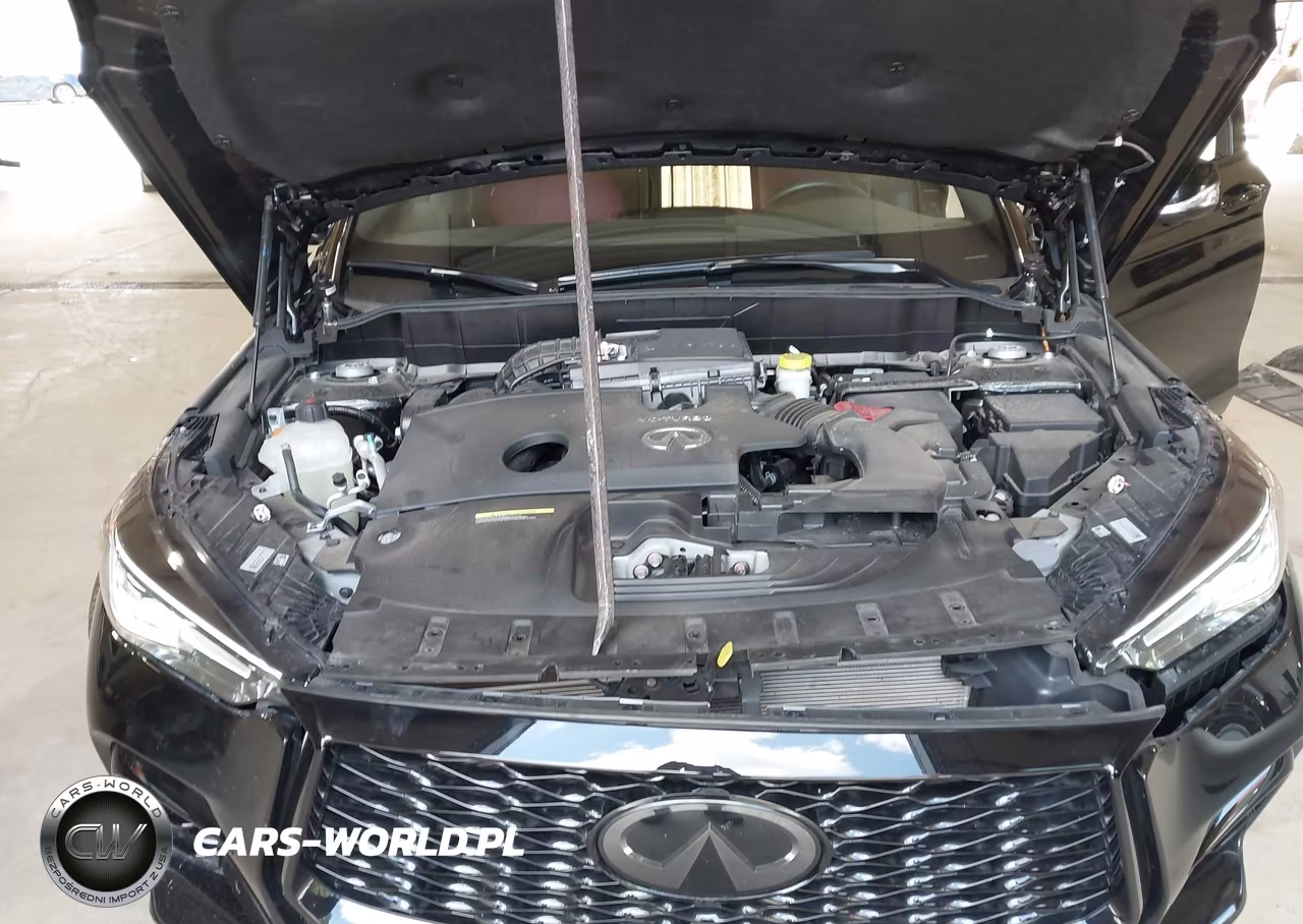 2025 Infiniti Qx50 Sport Awd VIN:3PCAJ5FB0SF108095 - 10