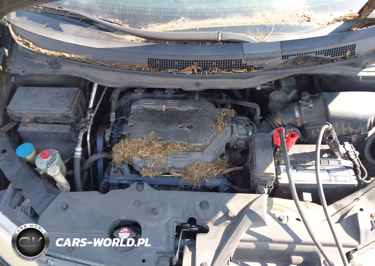 2011 Honda Odyssey Ex-L VIN:5FNRL5H65BB018471 - 10