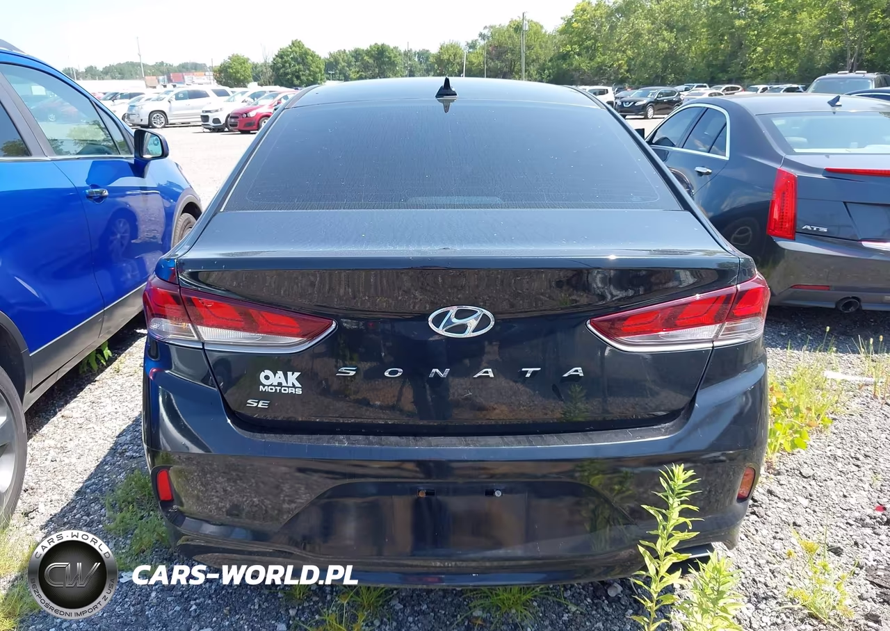 2019 Hyundai Sonata Se VIN:5NPE24AF7KH759552 - 16