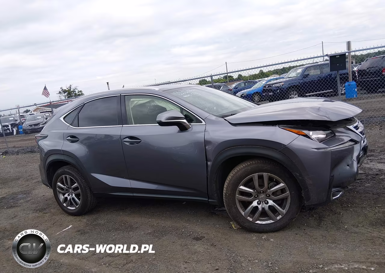 2016 Lexus Nx 200T VIN:JTJBARBZ0G2088520 - 13