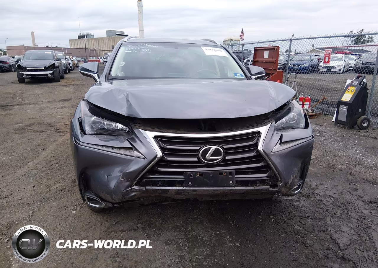 2016 Lexus Nx 200T VIN:JTJBARBZ0G2088520 - 6