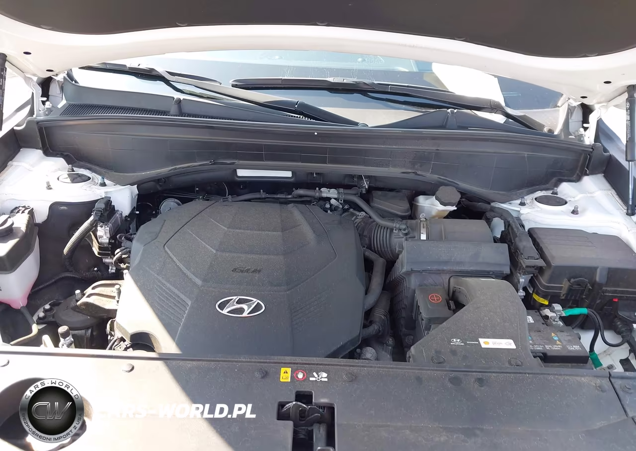 2023 Hyundai Palisade Calligraphy VIN:KM8R7DGEXPU509457 - 10