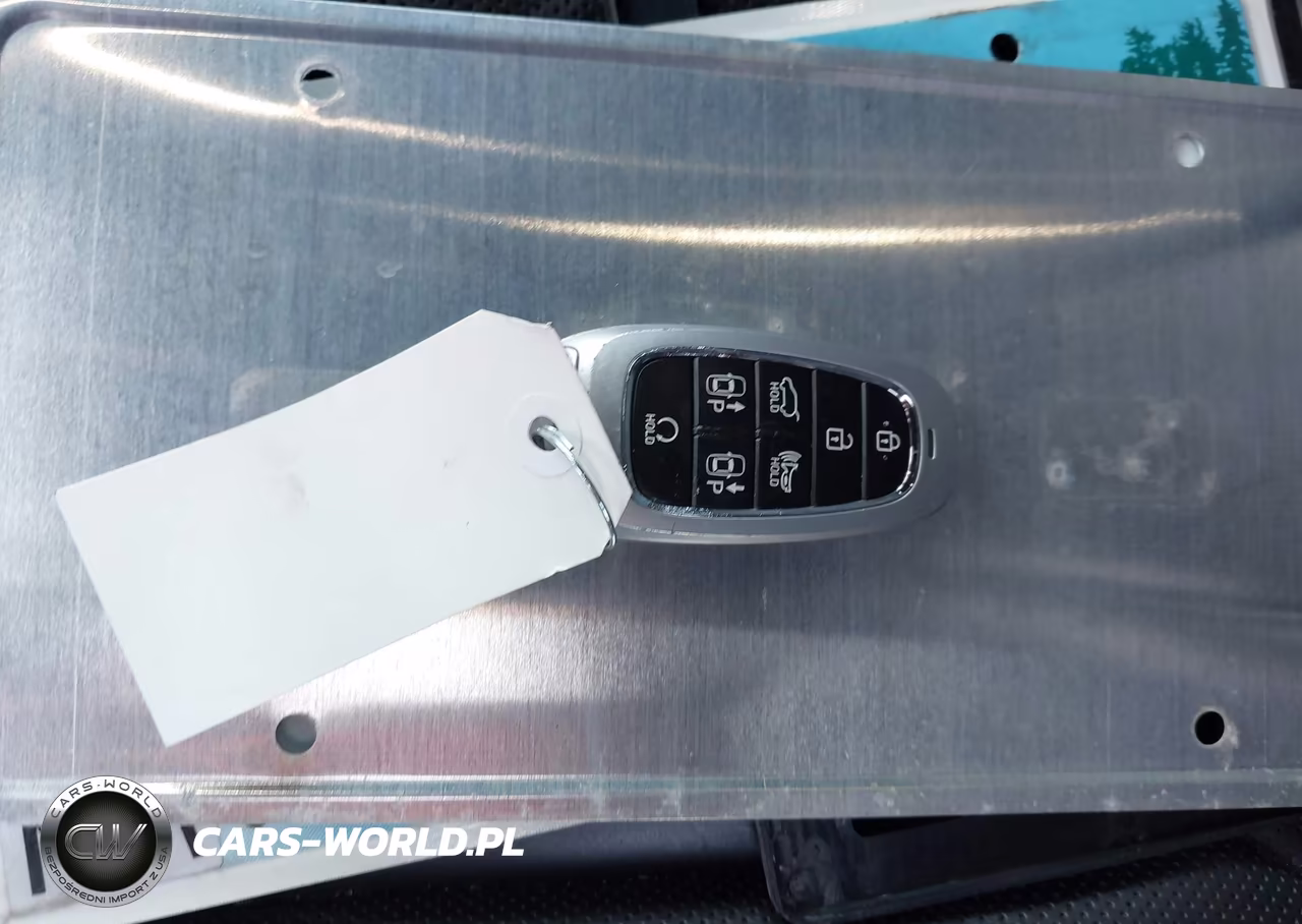 2023 Hyundai Palisade Calligraphy VIN:KM8R7DGEXPU509457 - 11