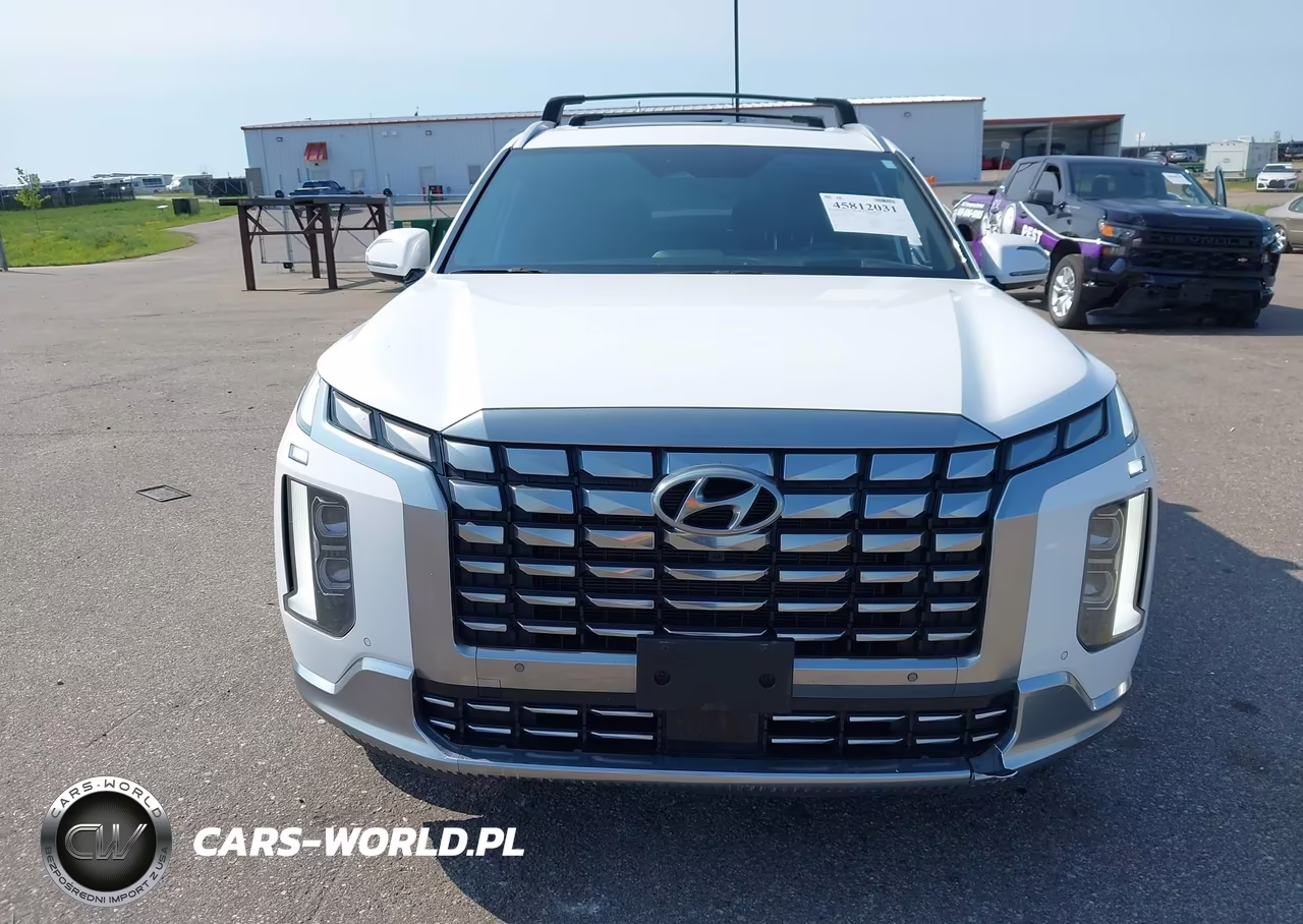 2023 Hyundai Palisade Calligraphy VIN:KM8R7DGEXPU509457 - 12
