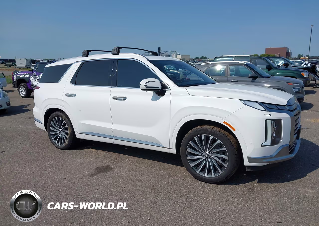 2023 Hyundai Palisade Calligraphy VIN:KM8R7DGEXPU509457 - 13
