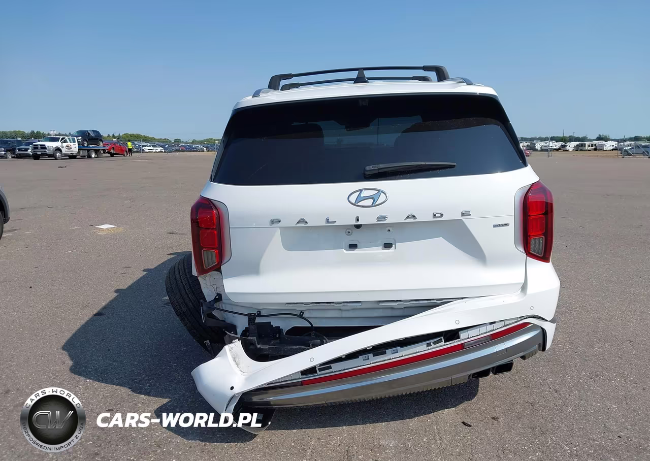 2023 Hyundai Palisade Calligraphy VIN:KM8R7DGEXPU509457 - 16