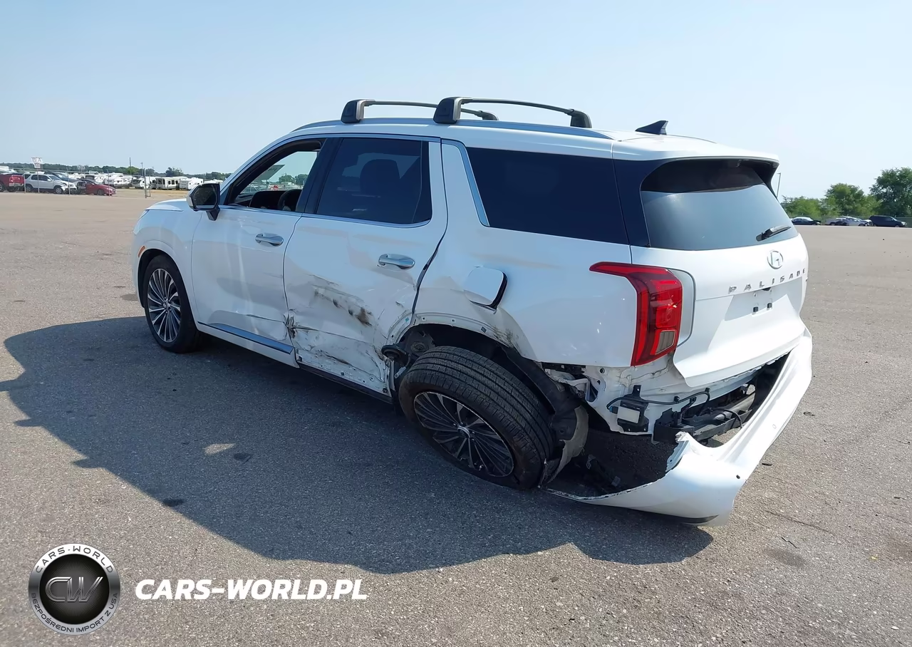 2023 Hyundai Palisade Calligraphy VIN:KM8R7DGEXPU509457 - 3