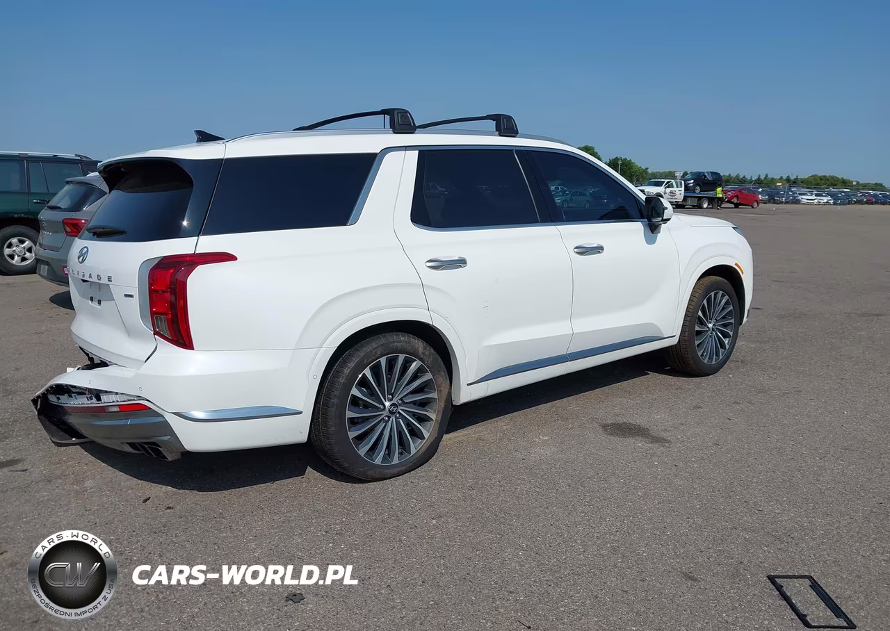 2023 Hyundai Palisade Calligraphy VIN:KM8R7DGEXPU509457 - 4