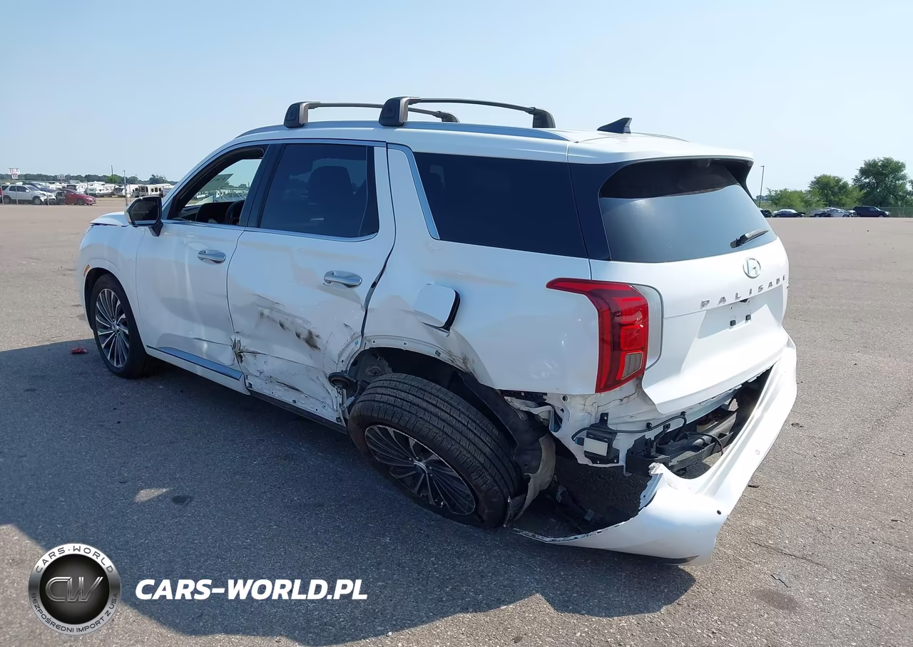 2023 Hyundai Palisade Calligraphy VIN:KM8R7DGEXPU509457 - 6