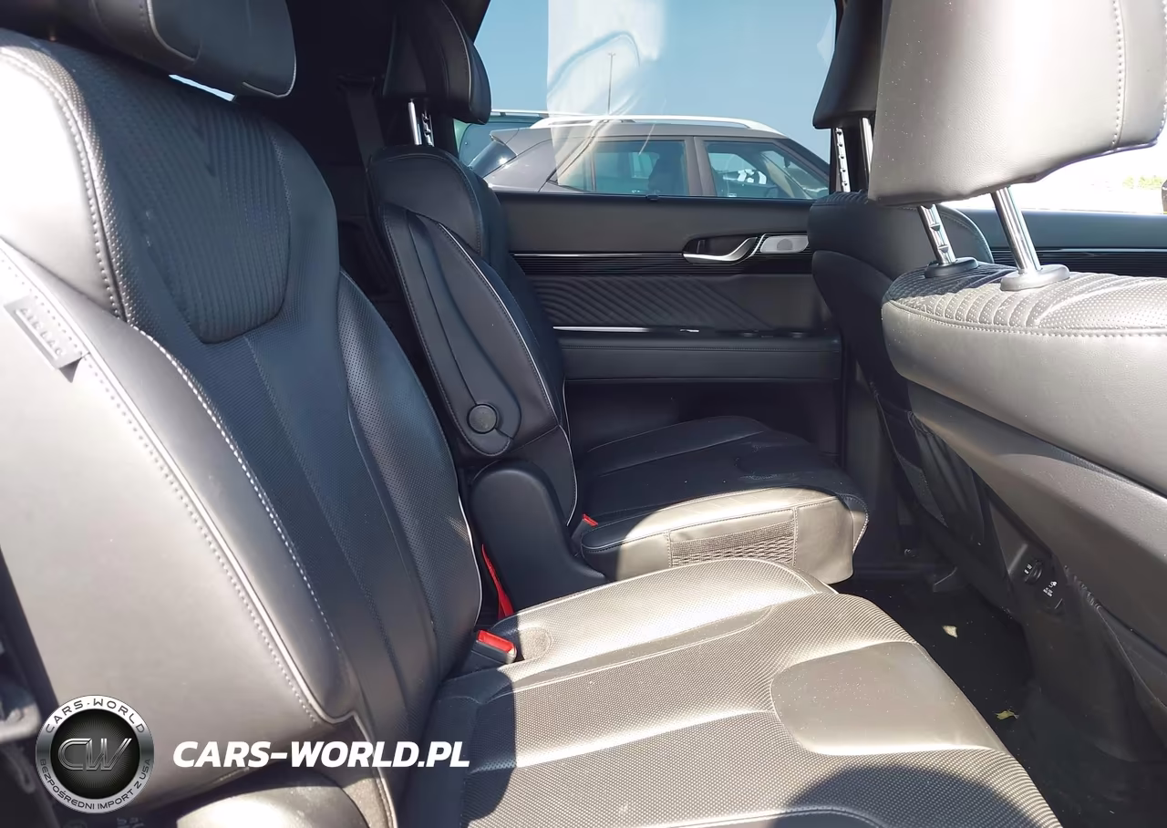 2023 Hyundai Palisade Calligraphy VIN:KM8R7DGEXPU509457 - 8