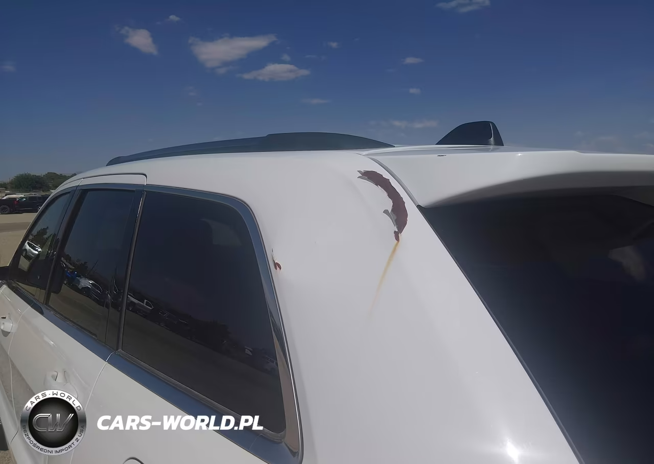 2019 Jeep Grand Cherokee Laredo E 4X2 VIN:1C4RJEAG0KC816432 - 12