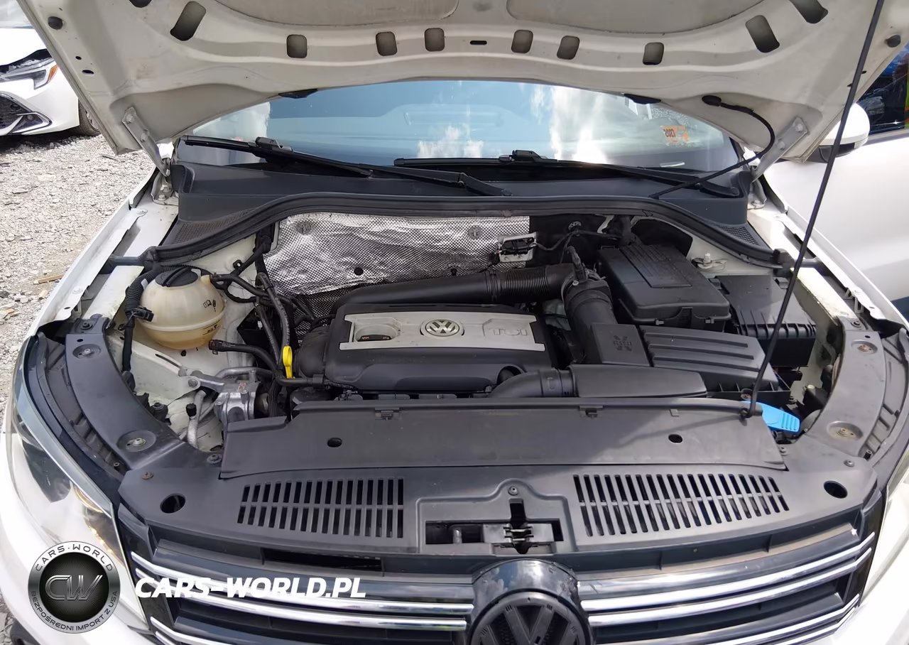 2014 Volkswagen Tiguan S VIN:WVGBV3AXXEW501338 - 10