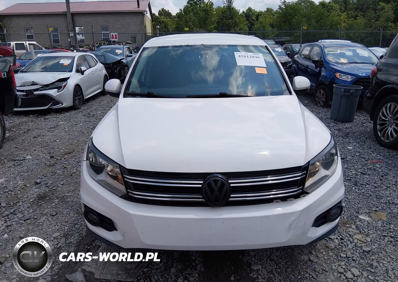 2014 Volkswagen Tiguan S VIN:WVGBV3AXXEW501338 - 12