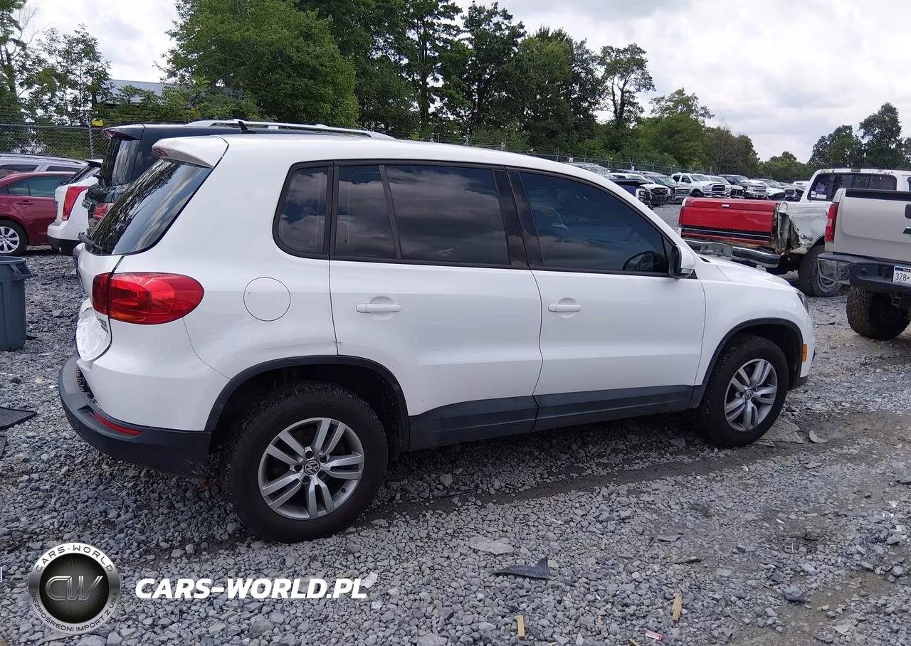 2014 Volkswagen Tiguan S VIN:WVGBV3AXXEW501338 - 13