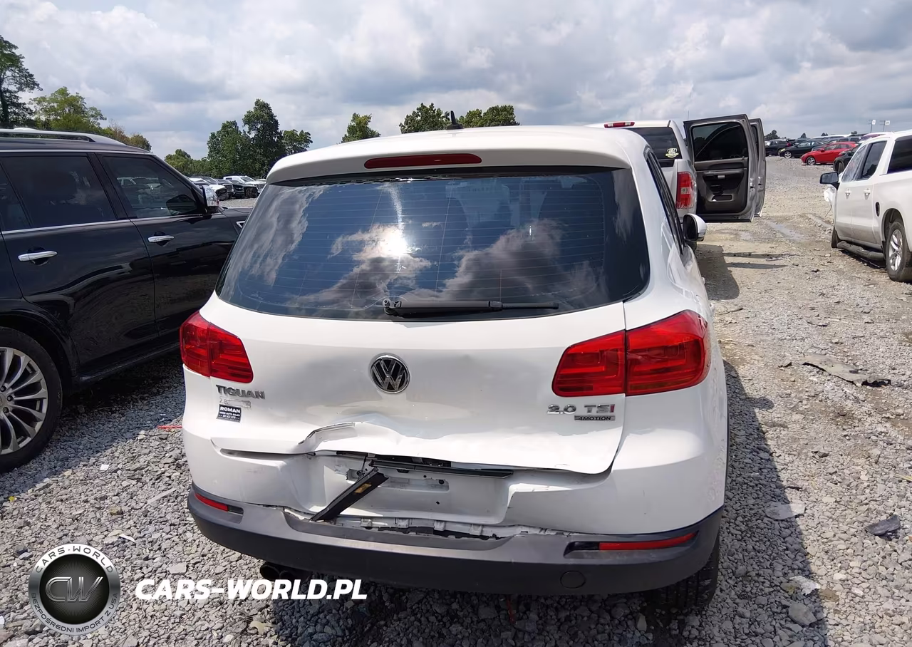 2014 Volkswagen Tiguan S VIN:WVGBV3AXXEW501338 - 16