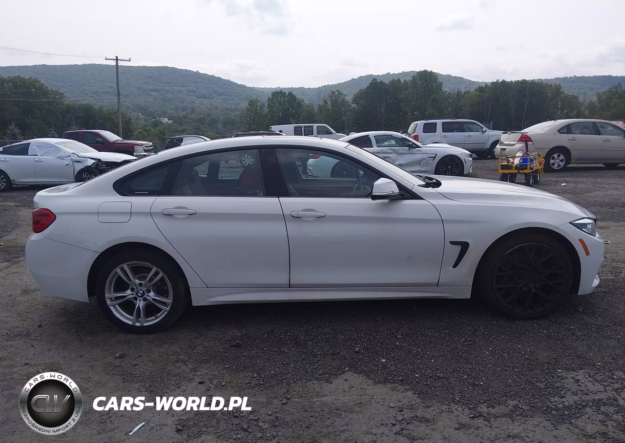 2018 BMW 430I Gran Coupe xDrive VIN:WBA4J3C55JBL04063 - 13