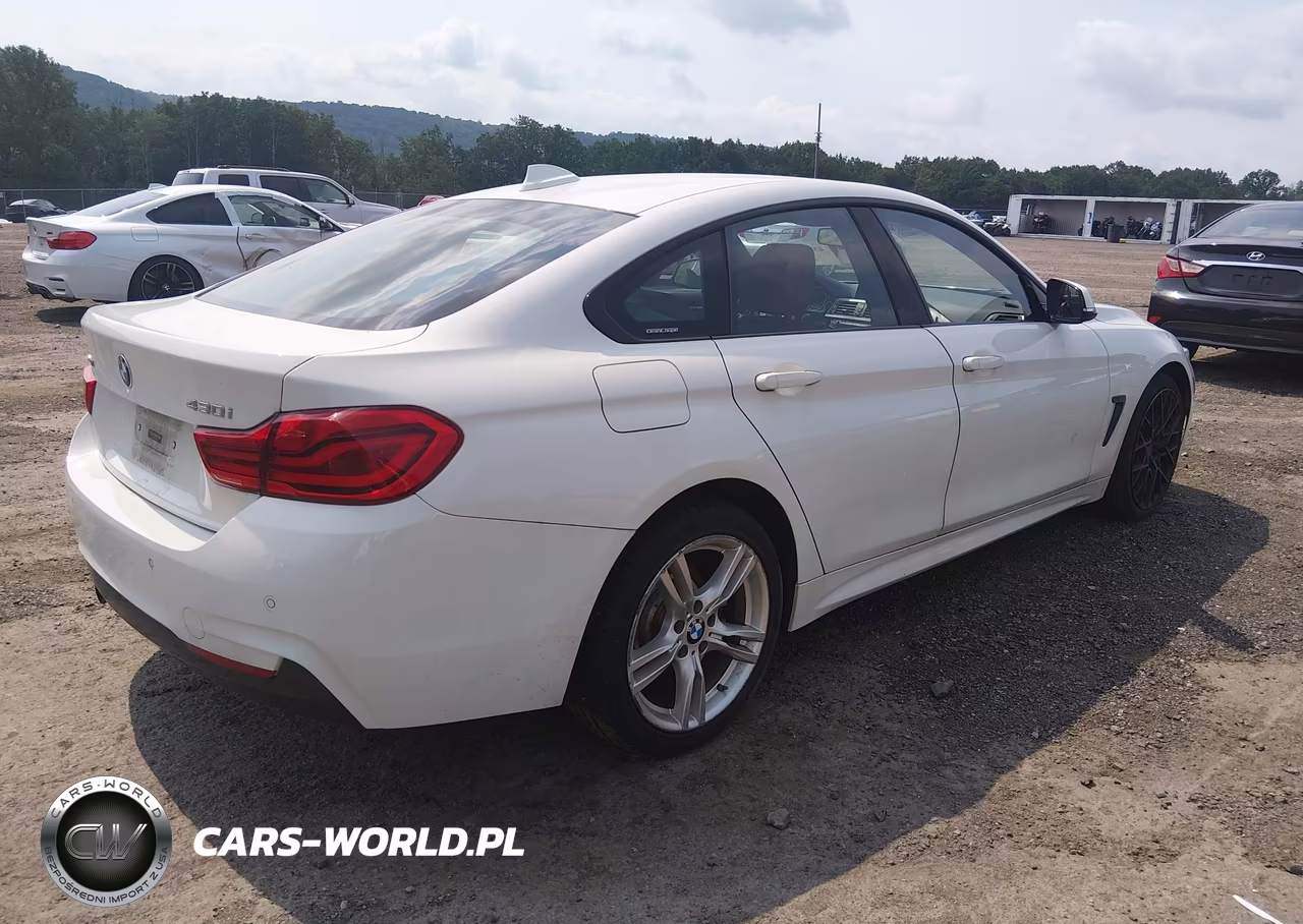 2018 BMW 430I Gran Coupe xDrive VIN:WBA4J3C55JBL04063 - 4