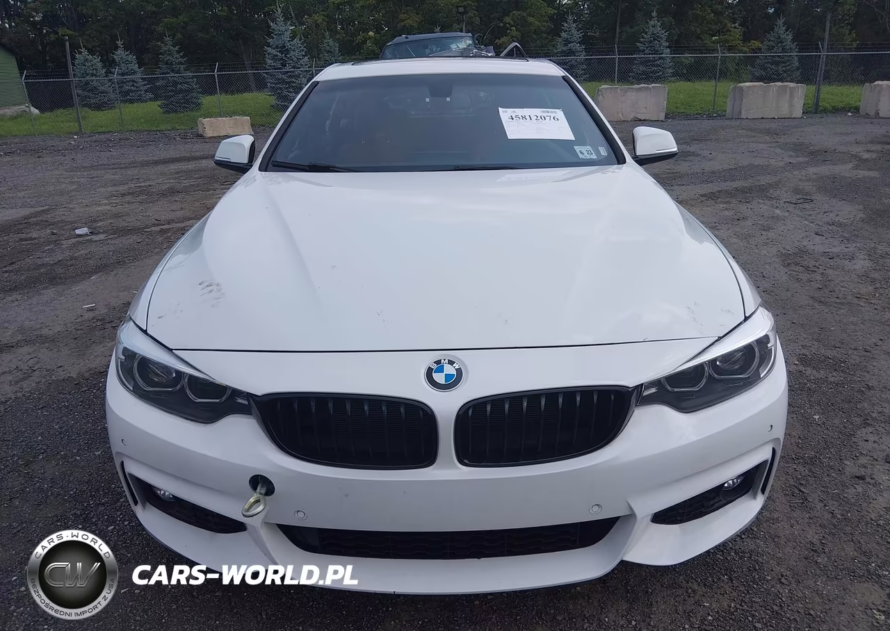 2018 BMW 430I Gran Coupe xDrive VIN:WBA4J3C55JBL04063 - 6
