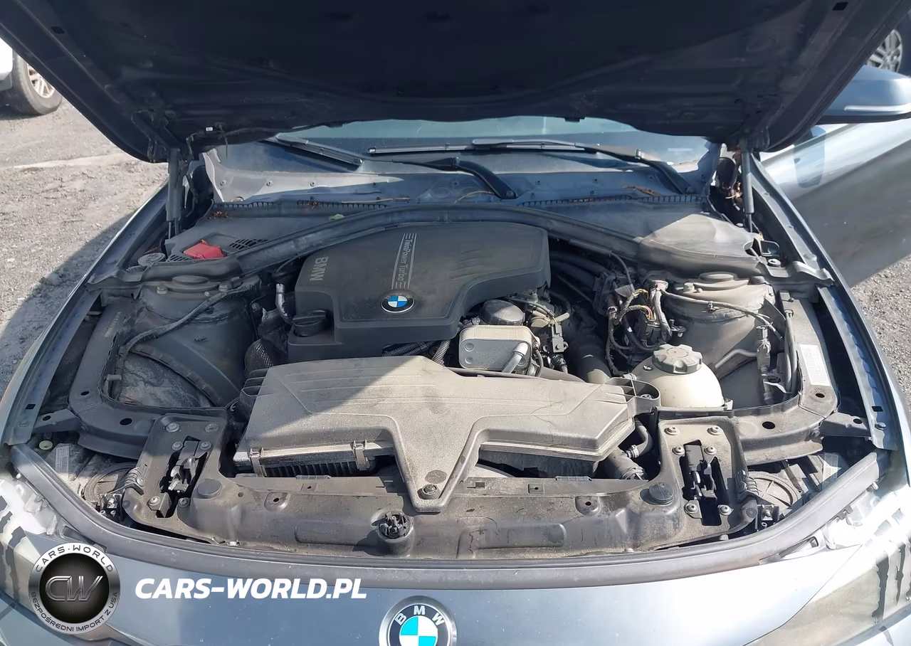 2014 BMW 320I xDrive VIN:WBA3C3C56EF983698 - 10