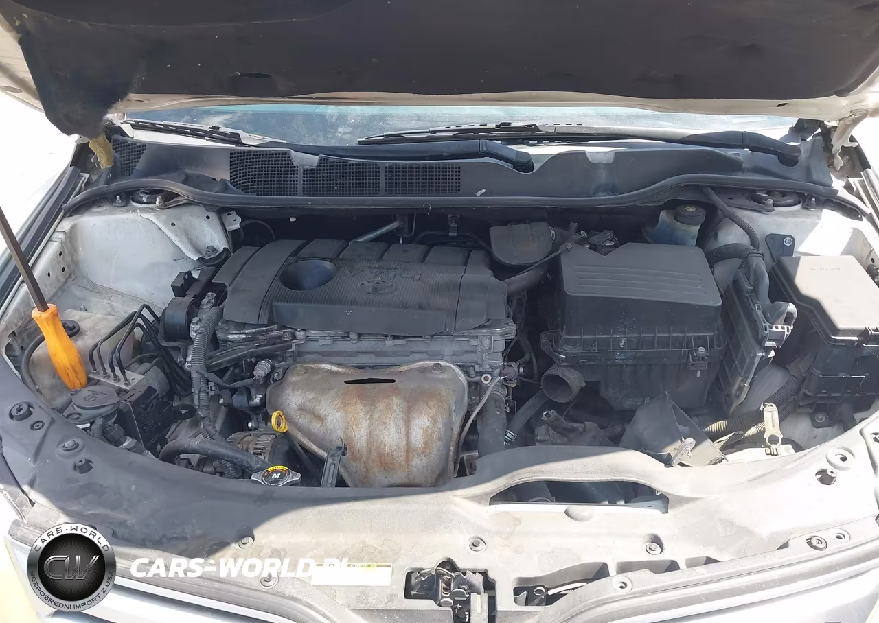 2010 Toyota Venza VIN:4T3ZA3BB8AU030249 - 10