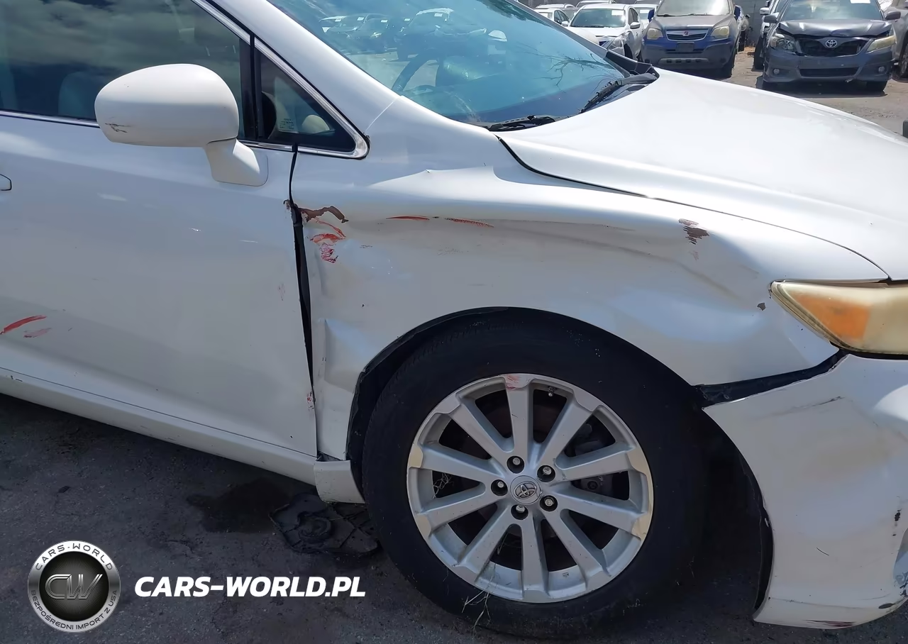 2010 Toyota Venza VIN:4T3ZA3BB8AU030249 - 6