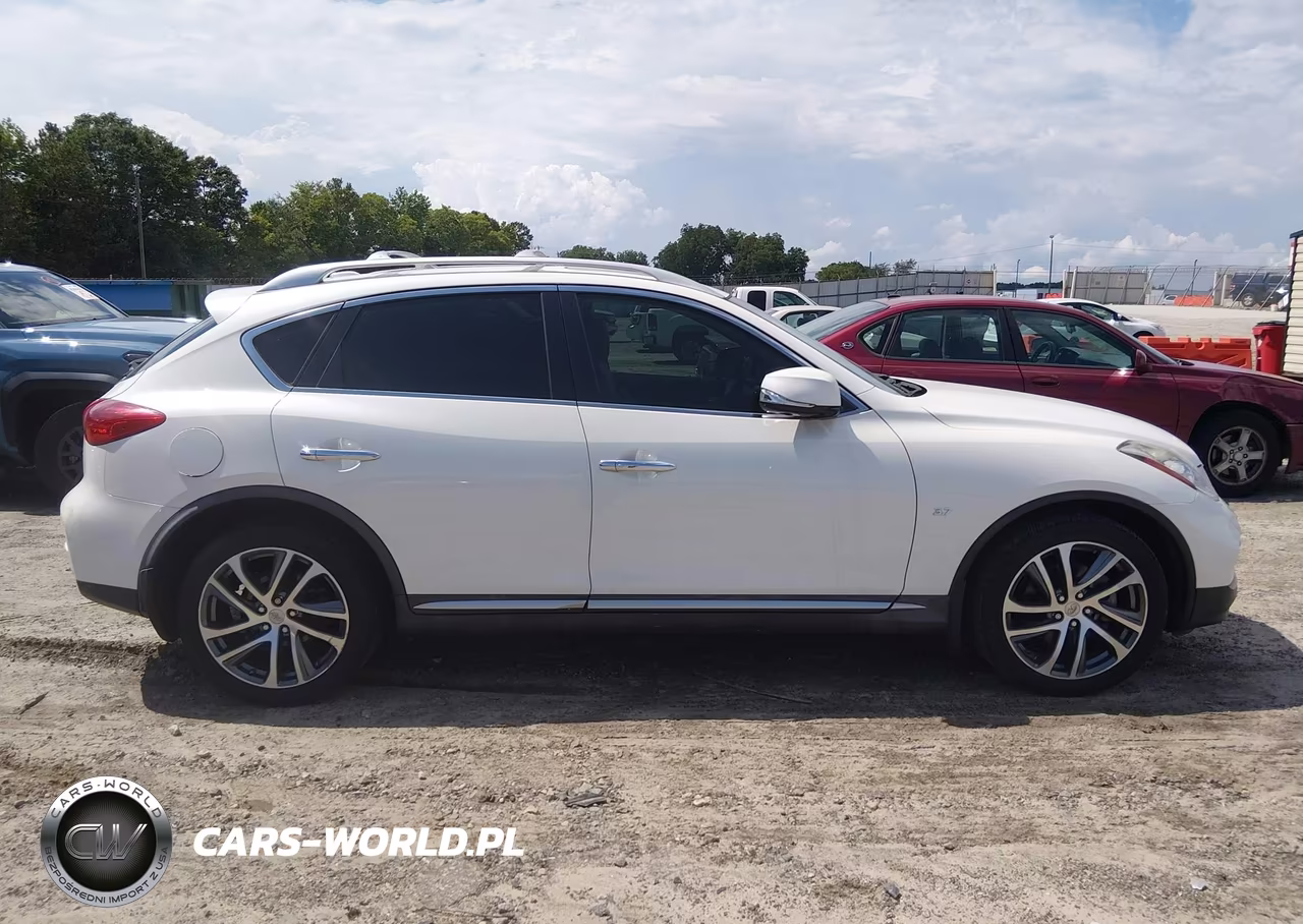 2017 Infiniti Qx50 VIN:JN1BJ0RP2HM388281 - 13