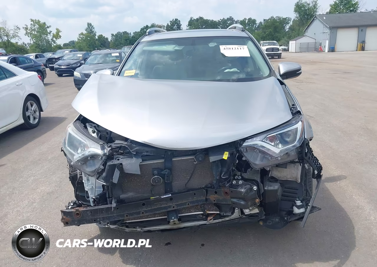 2016 Toyota Rav4 Xle VIN:2T3RFREV6GW492361 - 13