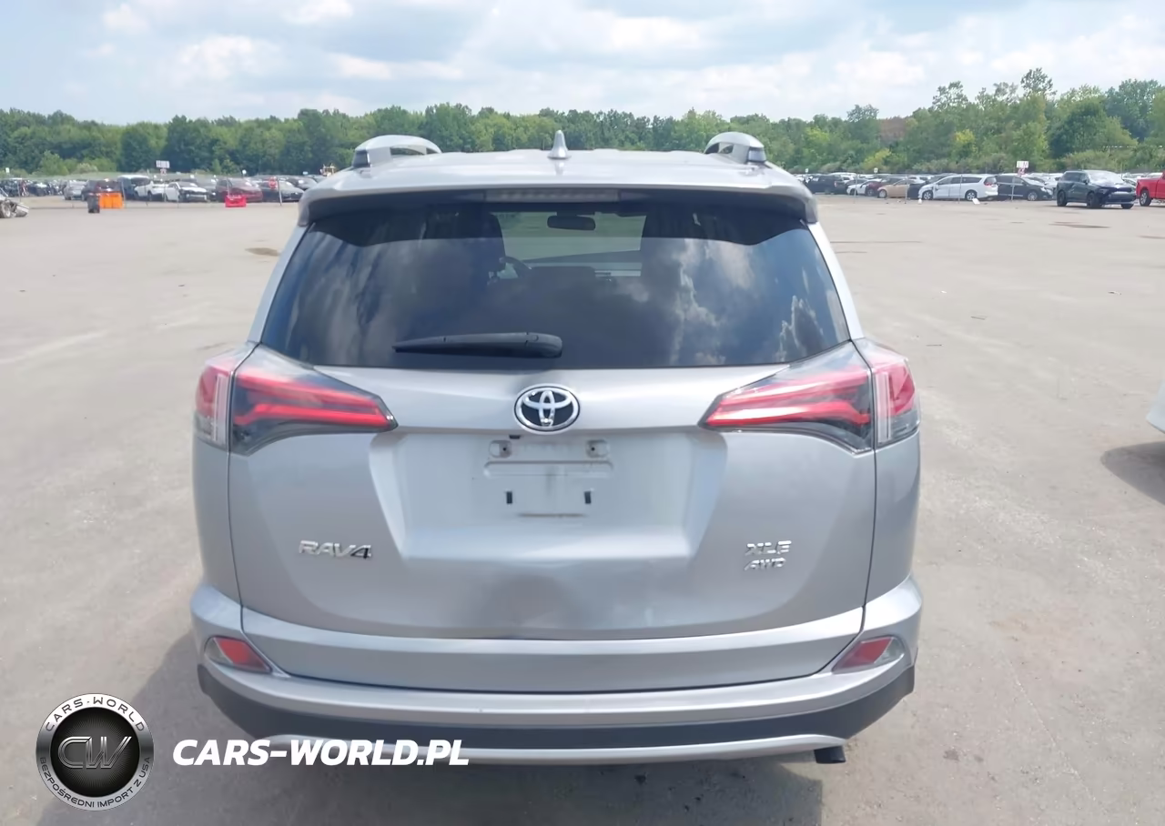 2016 Toyota Rav4 Xle VIN:2T3RFREV6GW492361 - 17