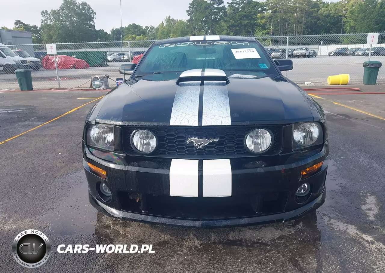 2008 Ford Mustang Gt Deluxe-Gt Premium VIN:1ZVHT82H485144979 - 12