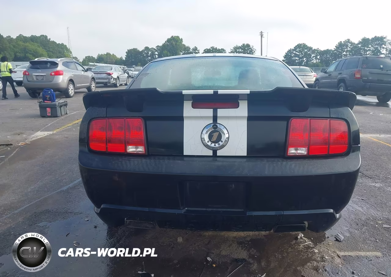 2008 Ford Mustang Gt Deluxe-Gt Premium VIN:1ZVHT82H485144979 - 16