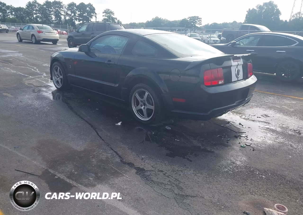 2008 Ford Mustang Gt Deluxe-Gt Premium VIN:1ZVHT82H485144979 - 3