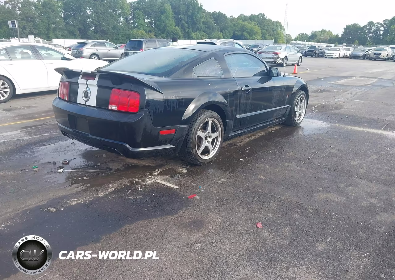 2008 Ford Mustang Gt Deluxe-Gt Premium VIN:1ZVHT82H485144979 - 4
