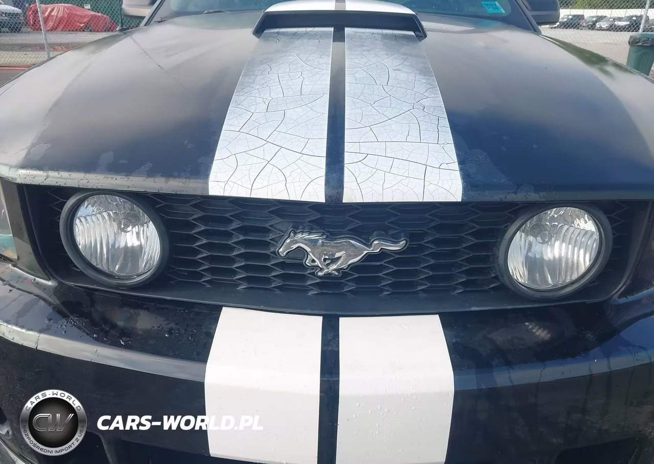 2008 Ford Mustang Gt Deluxe-Gt Premium VIN:1ZVHT82H485144979 - 6