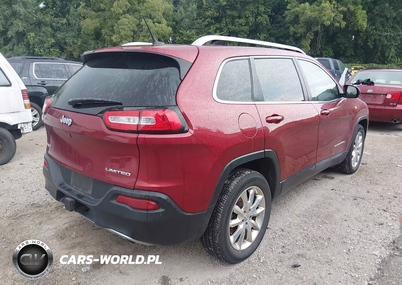2014 Jeep Cherokee Limited VIN:1C4PJMDS9EW216559 - 4