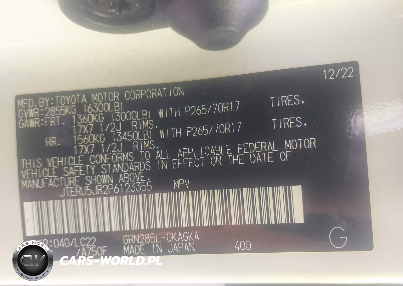 2023 Toyota 4Runner Trd Off Road Premium VIN:JTERU5JR2P6123355 - 9