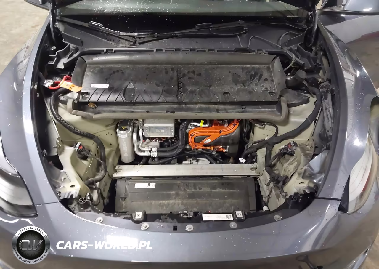 2024 Tesla Model Y Long Range Dual Motor All-Wheel Drive VIN:7SAYGDEE2RA216747 - 10