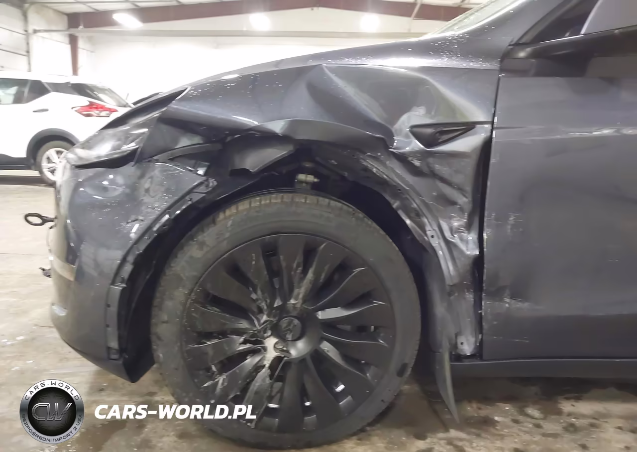 2024 Tesla Model Y Long Range Dual Motor All-Wheel Drive VIN:7SAYGDEE2RA216747 - 6