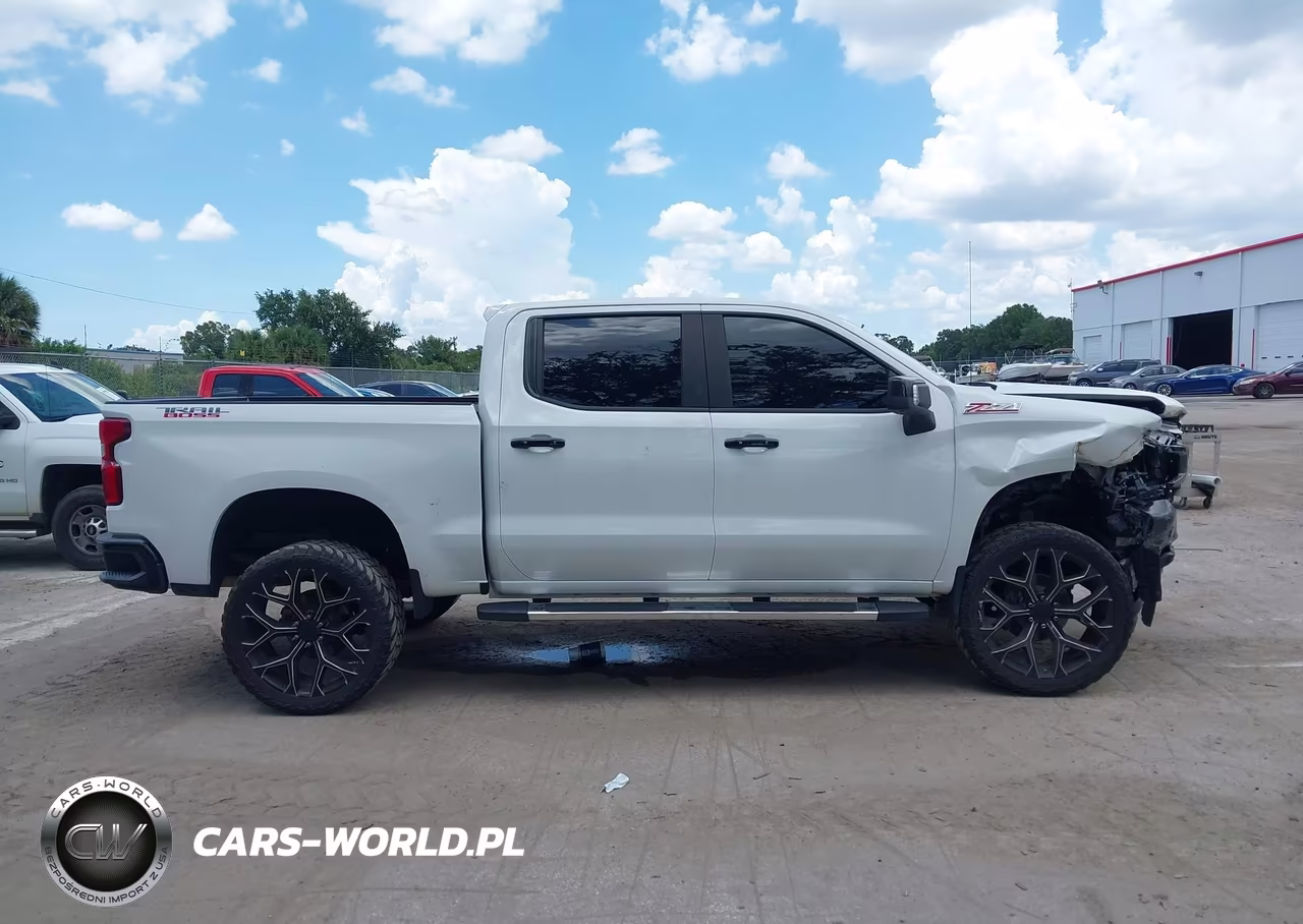 2019 Chevrolet Silverado 1500 Lt Trail Boss VIN:3GCPYFED8KG199934 - 13