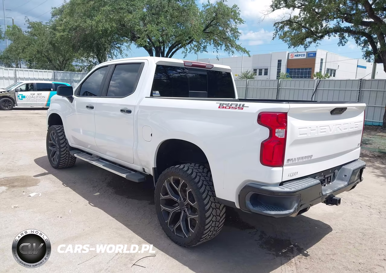 2019 Chevrolet Silverado 1500 Lt Trail Boss VIN:3GCPYFED8KG199934 - 3