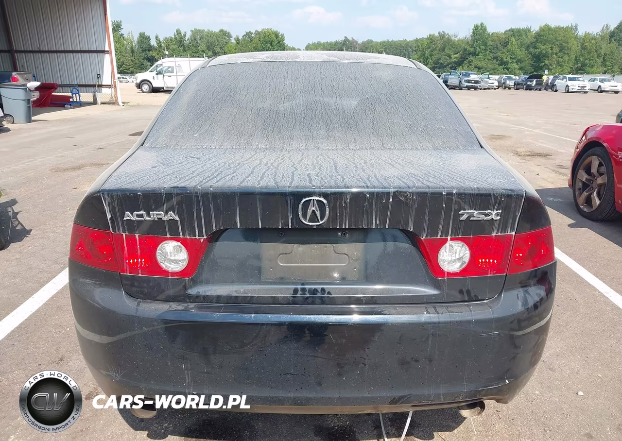 2004 Acura Tsx VIN:JH4CL96844C024780 - 16