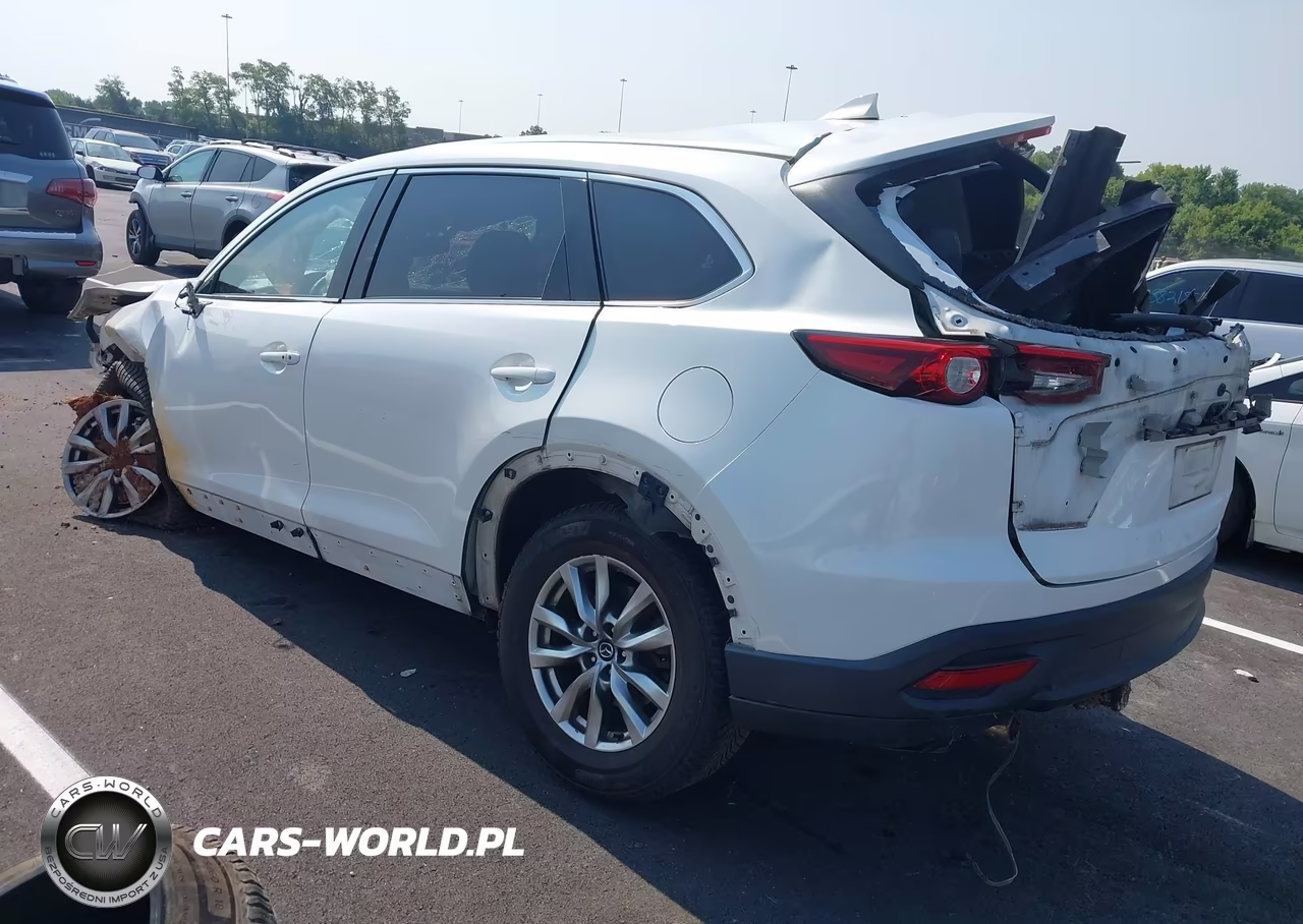 2016 Mazda Cx-9 Touring VIN:JM3TCACY0G0119499 - 3