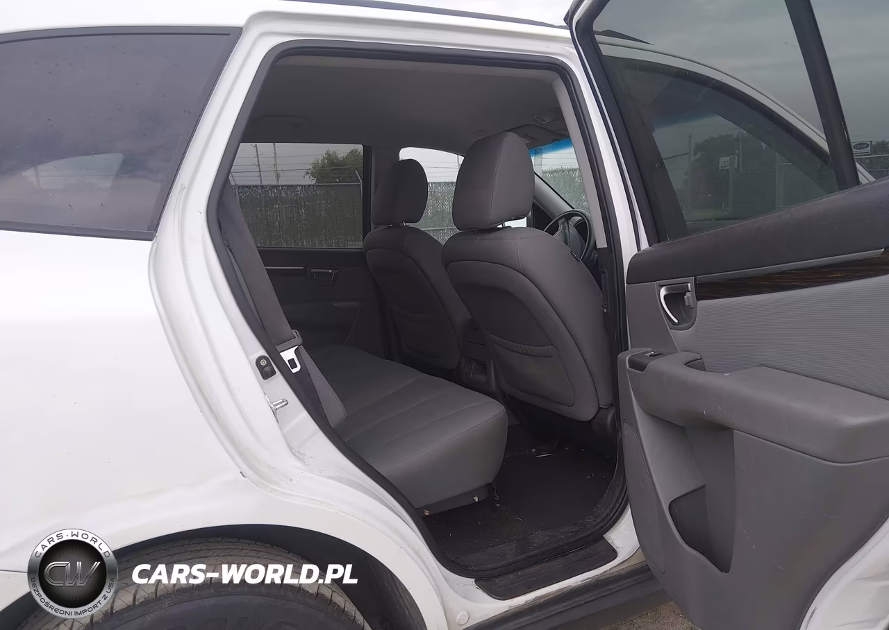 2010 Hyundai Santa Fe Gls VIN:5NMSG3AB7AH348353 - 8