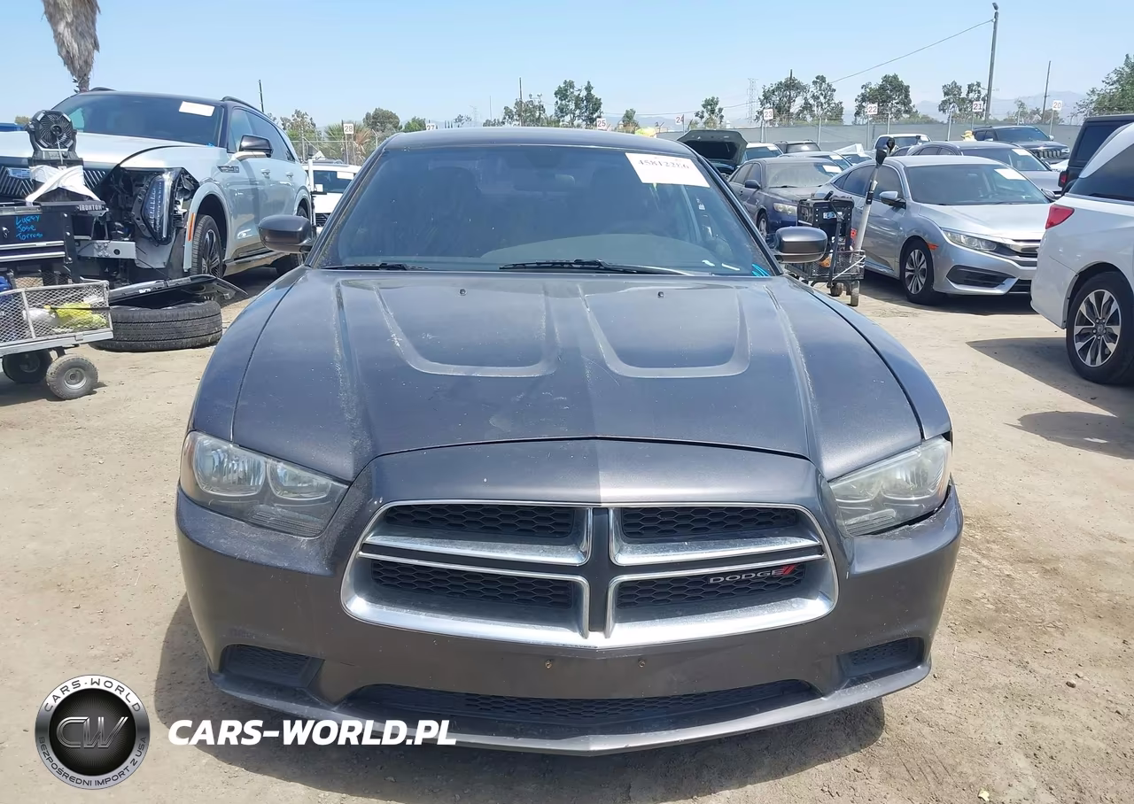 2013 Dodge Charger Se VIN:2C3CDXBG7DH565386 - 12