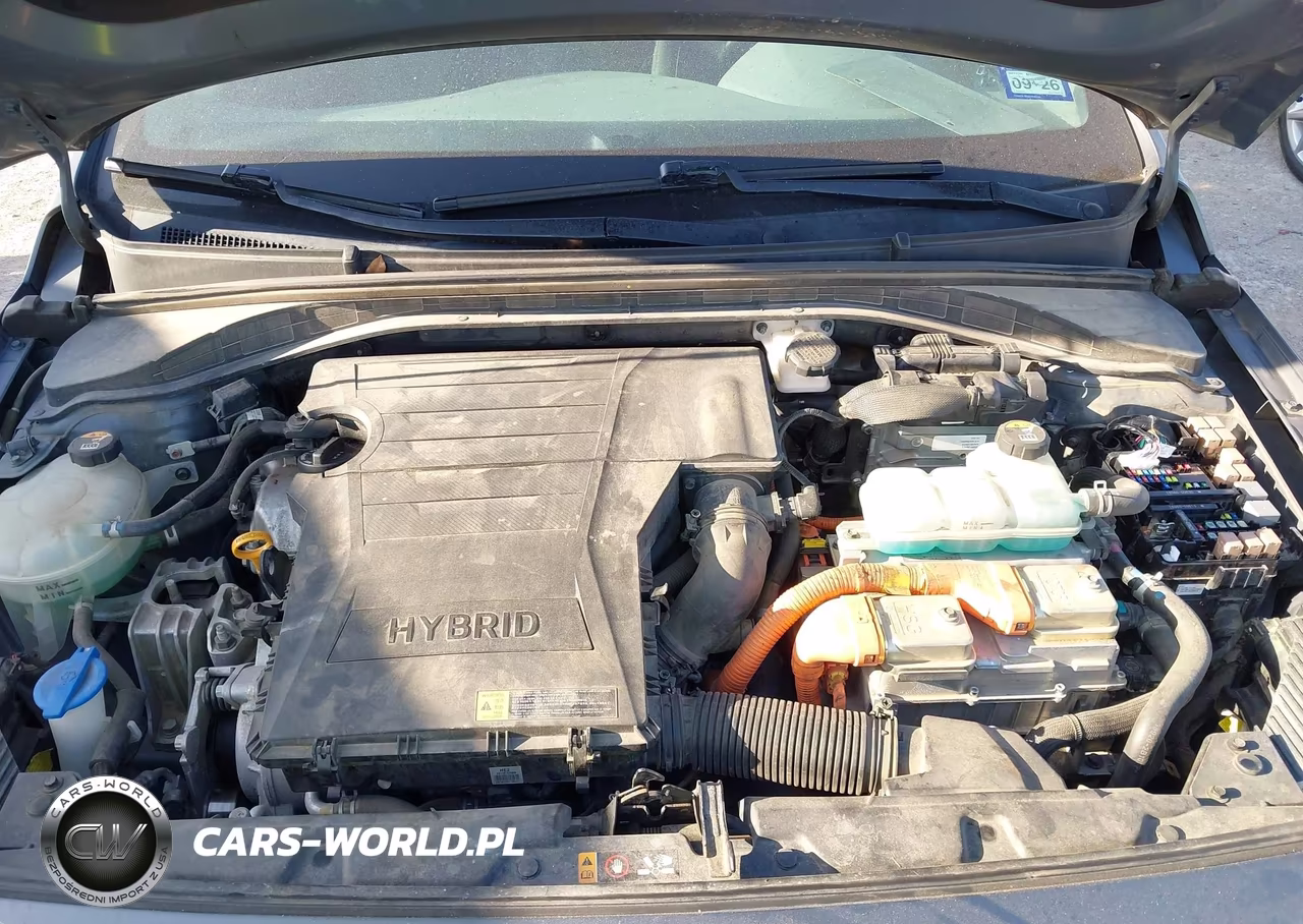 2019 Hyundai Ioniq Hybrid Limited VIN:KMHC85LC8KU136876 - 10