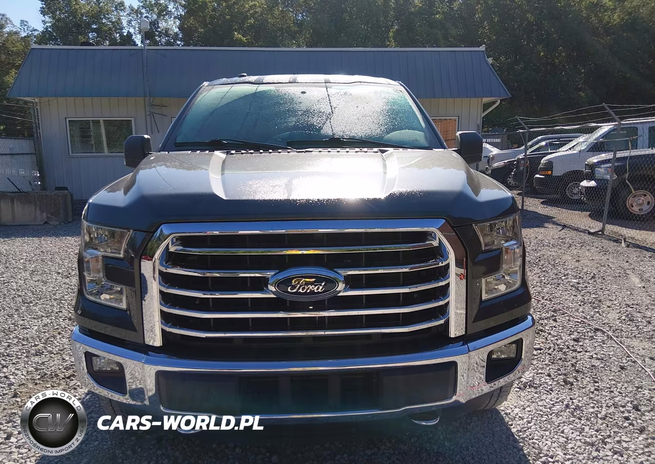 2016 Ford F-150 Xlt VIN:1FTEW1EG0GFA77104 - 13