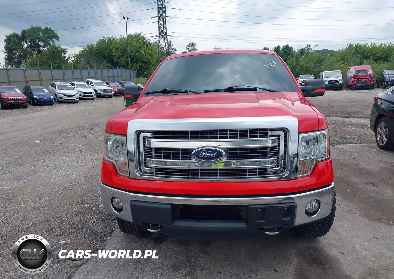 2013 Ford F-150 Xlt VIN:1FTFX1ET9DFC47793 - 12